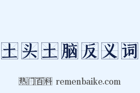 土头土脑反义词是什么意思的图片